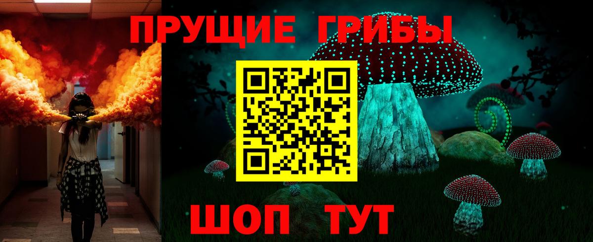 Галлюциногенные грибы GOLDEN TEACHER  Вход с VPN  Джанкой  Псилоцибиновые грибы Magic Shrooms 